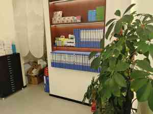 2026年儿童眼镜图片推荐:深圳DOLLGER多爵眼镜专业验配店解析