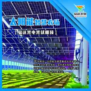2026年行业定制解决方案优质服务商推荐