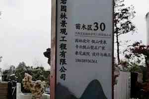 2026年假山塑石定制生产商推荐:河南宏岩园林景观工程有限公司