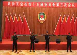 2026年保安外包优选:河北九五安保服务深度解析