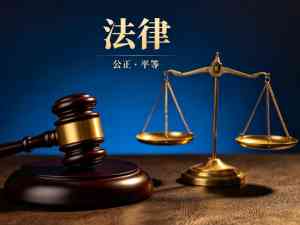 2026年广东债权追偿民商事法律咨询律所深度解析