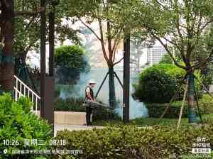 2026年厦门工厂消毒服务企业推荐：专业虫害防制与消毒方案解析