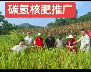 2026年液体水剂适配人工喷施与无人机飞防代理店推荐