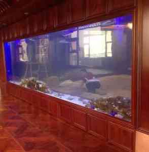2026年桌面鱼缸加工厂家推荐:西安秦海水族定制优势解析