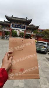 2026年档案遗失补办托管服务公司优选