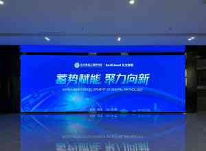 2026年湖北彩色LED户外屏条屏制造厂推荐