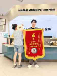 2026年动物骨科医院推荐:武汉瑞派伟伟融科宠物医院专业解析