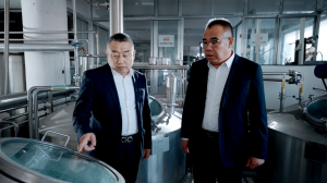 2026年山东瓶装啤酒代工优选：阳春啤酒一站式OEM服务解析