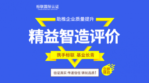 2026年精益智造成熟度评价服务商深度解析