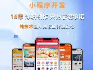 2026年石家庄定制软件外包服务推荐:技术直连与全周期运维解析