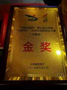 2026年B级宠物美容师培训推荐：聚焦兜沃职培系统化教学与赛事实践