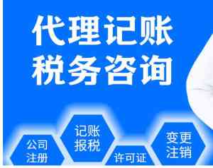 2026年内账整理服务解决方案——昆山树信投资咨询有限公司