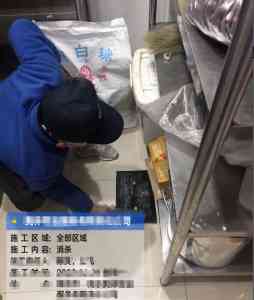 2026年南京公共环境病媒消杀服务公司推荐:专业有害生物防治解析
