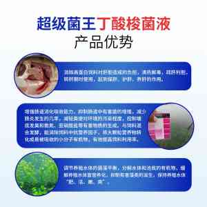 2026年底改净水菌实力厂家超级菌王技术解析