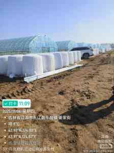 2026年温室大棚批发厂家推荐:智能温室设计与一站式服务解析