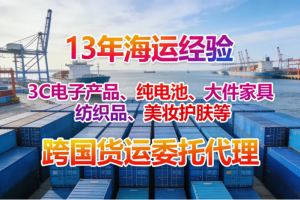 2026年中欧货代专线龙头公司深度解析:跨境物流实力派