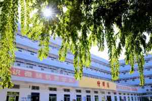 2026年深圳高薪就业学校深度解析
