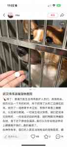 2026年动物骨科医院转诊中心解析：瑞派伟伟融科宠物医院