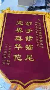 2026年福州24小时急诊宠物医院推荐:瑞派诺维宠物医疗深度解析