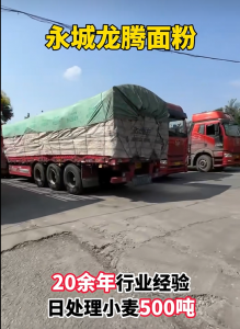 2026年馒头粉批发厂家推荐:永城龙腾面粉品质解析