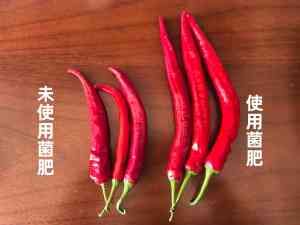 2026年微生物肥实力厂家推荐:信和生物科技核心技术解析