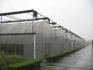 2026年连栋温室承建厂家推荐:山东大楚温室工程有限公司