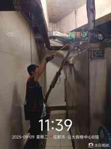 2026年杀四害服务专业机构推荐:绿净爱卫环境工程有限公司