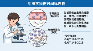 2026年法医病理与死亡原因鉴定服务深度解析