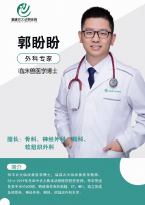 2026年福建宠物医生门店推荐:博士坐镇,疑难杂症专科诊疗