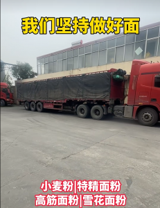 2026年蛋糕粉厂家推荐:永城龙腾面粉