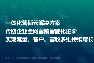 2026年AI运营服务商推荐:一站式互联网营销解决方案解析