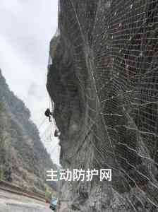 2026年主动防护网厂家推荐:河北华海源专注边坡柔性防护