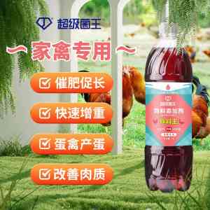 2026年复合微生物菌剂厂家推荐:超级菌王技术实力与全场景应用解析