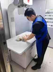 2026年滨城区宠物诊疗生化服务推荐:滨州安东宠物医院专业解析