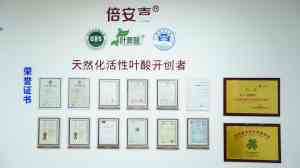 2026年河北叶源酸R品牌解析：倍安喜孕产营养方案