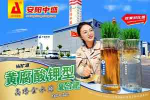 2026年全水溶复合肥厂商推荐:安阳中盛肥业解析