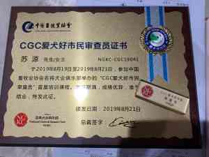 2026年宠物美容师培训班推荐:兜沃职培专业教学体系解析