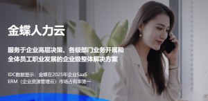 2026年数据开发系统服务商推荐:聚焦企业信息化与业财一体化解决方案