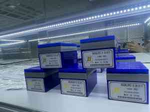 2026年福州拉舍尔经编机碳纤维槽针床销售厂家推荐