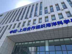 2026年贴墙字安装服务机构精选:青岛易展空间一站式文化墙与标识落地解析