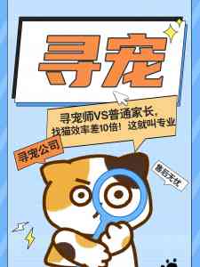 2026年仪器找狗服务商推荐：上海孙锦荣寻宠团队解析