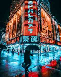 2026年河南老君山一日游咨询指南