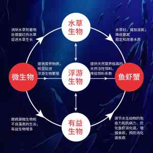 2026年抑藻稳藻菌直销厂家推荐:超级菌王微生物技术解析