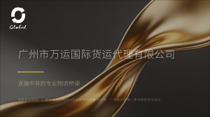2026年广州出口集装箱海运公司推荐:非洲航线综合物流服务商