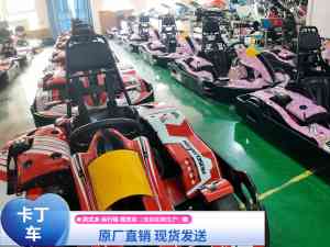 2026年单人卡丁车定做厂家推荐：郑州卓远游乐Vortkart解析