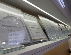 2026年西安零跑新能源汽车专卖店哪家强?恒泰集团实力解析