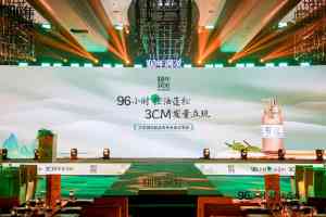 2026年logo设计平台与品牌策划服务商解析