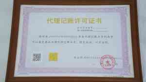 2026年河南税务合规审查专业服务机构深度解析