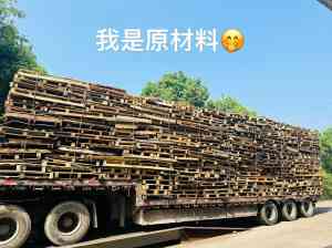 2026安徽模压木屑托盘定制厂家优选:力托环保,模压技术先驱
