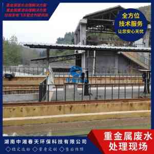 2026年湖南重金属废水药剂服务商深度解析